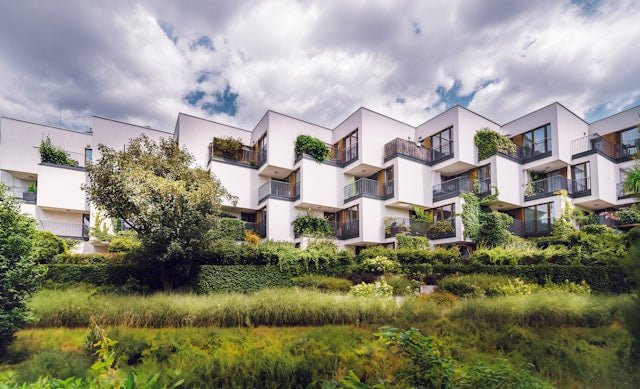 5 redenen waarom een groen balkon je gelukkiger maakt