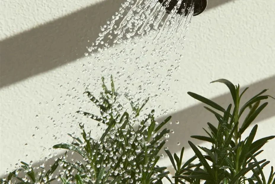 Balkonplanten water geven tijdens vakantie en hitte - Vercony