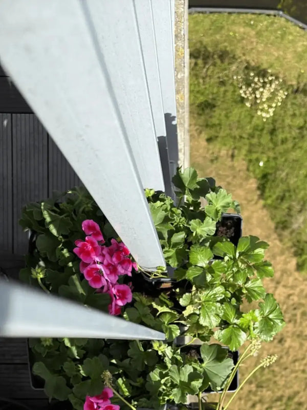 Mooie plantenbak van topkwaliteit