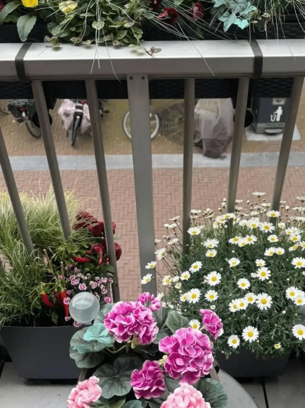 Snelle levering en prachtige bak