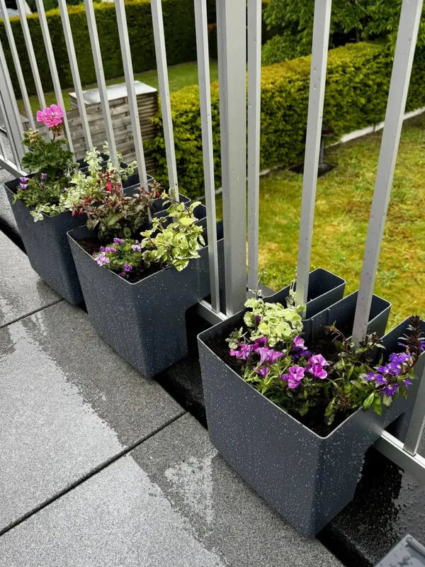 Perfecte levering en supermooie bakken