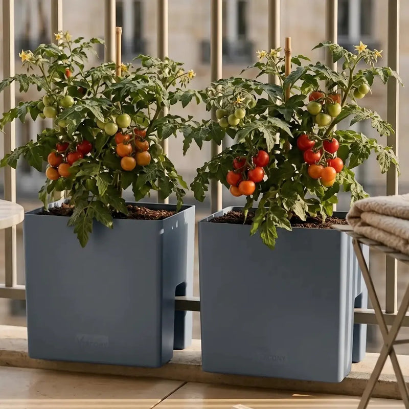 Tomaten op het balkon