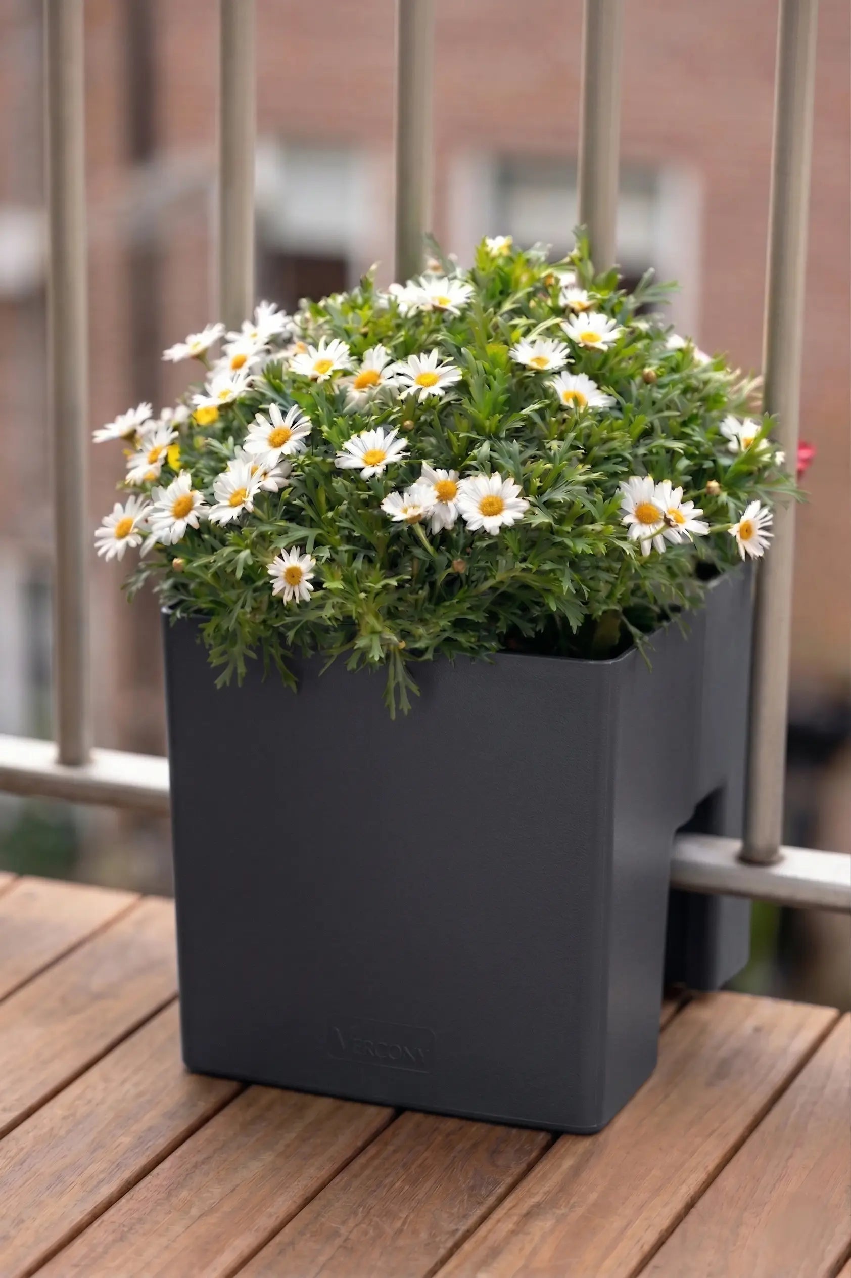 GreenUp Balkon Plantenbak - Antraciet - groen balkon Vercony
