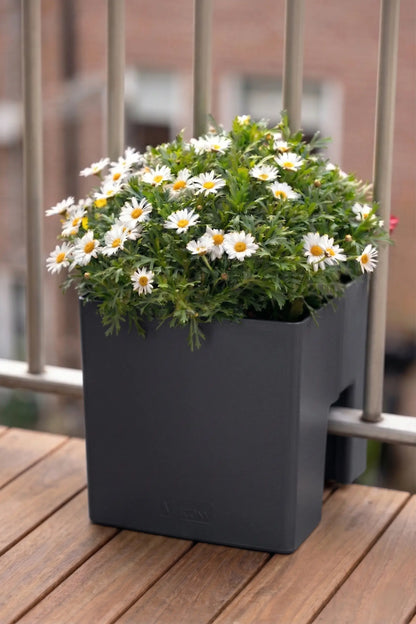 GreenUp Balkon Plantenbak - Antraciet - groen balkon Vercony