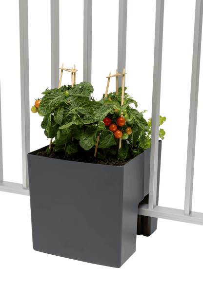 GreenUp Balkon Plantenbak - Antraciet - groen balkon Vercony