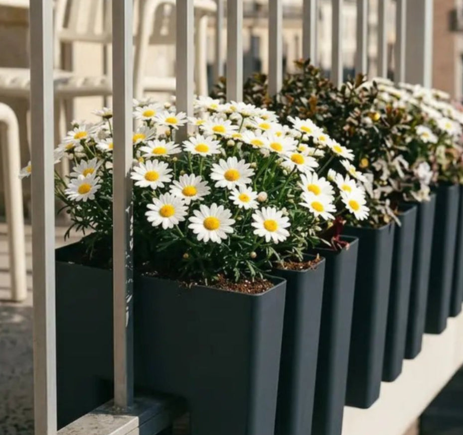 GreenUp Balkon Plantenbak - Antraciet - plantenbak voor een groen balkon Vercony