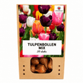Bulbes de tulipes pour balcon (20 pièces) - Mélange coloré, floraison printanière