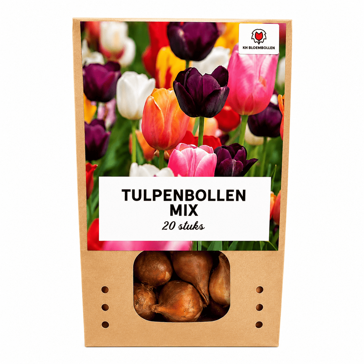 Tulpen bloembollen voor balkon (20 stuks) - Kleurrijke mix, voorjaarsbloeier - Jardinière pour un balcon vert Vercony