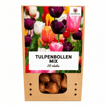 Tulpen bloembollen voor balkon (20 stuks) - Kleurrijke mix, voorjaarsbloeier - Jardinière pour un balcon vert Vercony