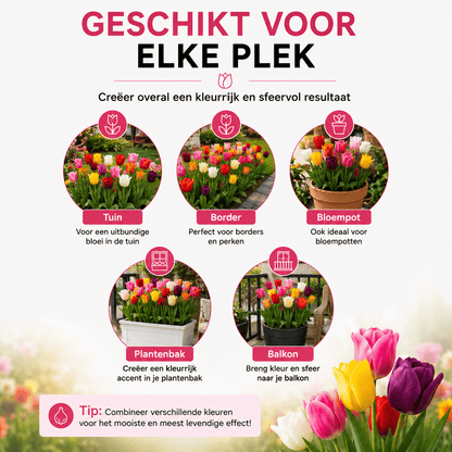 Tulpen bloembollen voor balkon (20 stuks) - Kleurrijke mix, voorjaarsbloeier - Jardinière pour un balcon vert Vercony