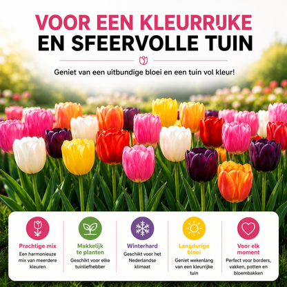 Tulpen bloembollen voor balkon (20 stuks) - Kleurrijke mix, voorjaarsbloeier - Jardinière pour un balcon vert Vercony