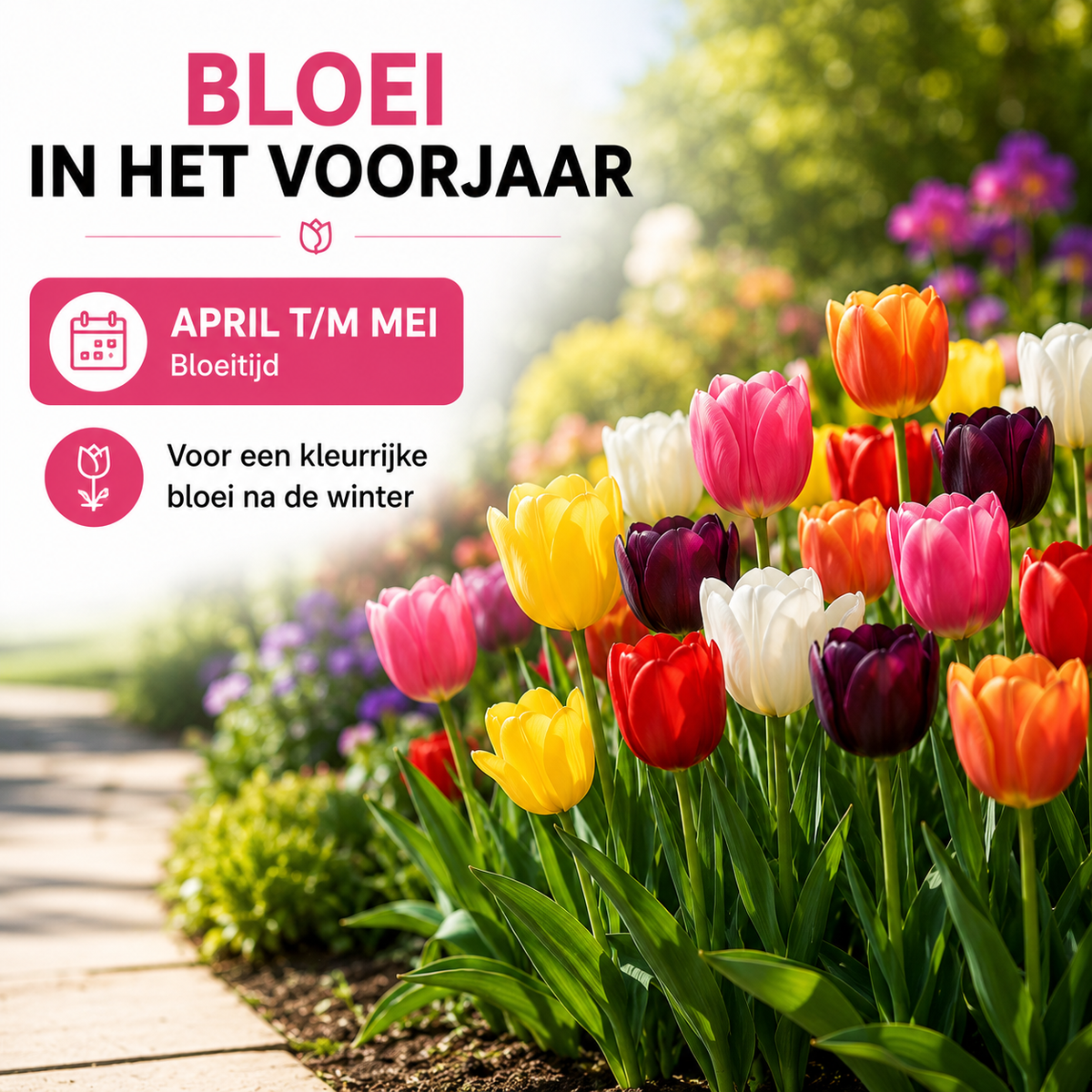 Tulpen bloembollen voor balkon (20 stuks) - Kleurrijke mix, voorjaarsbloeier - Jardinière pour un balcon vert Vercony