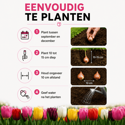 Tulpen bloembollen voor balkon (20 stuks) - Kleurrijke mix, voorjaarsbloeier - Jardinière pour un balcon vert Vercony