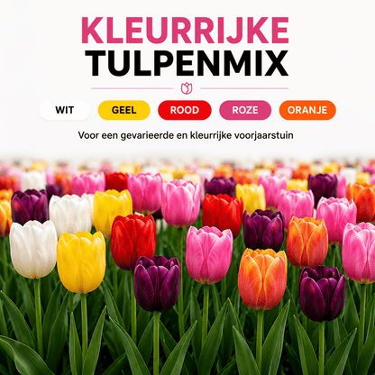 Tulpen bloembollen voor balkon (20 stuks) - Kleurrijke mix, voorjaarsbloeier - Jardinière pour un balcon vert Vercony